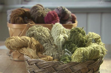 For yellow and green, the white birch leaves are used, for brown and bordaux quince leaves.